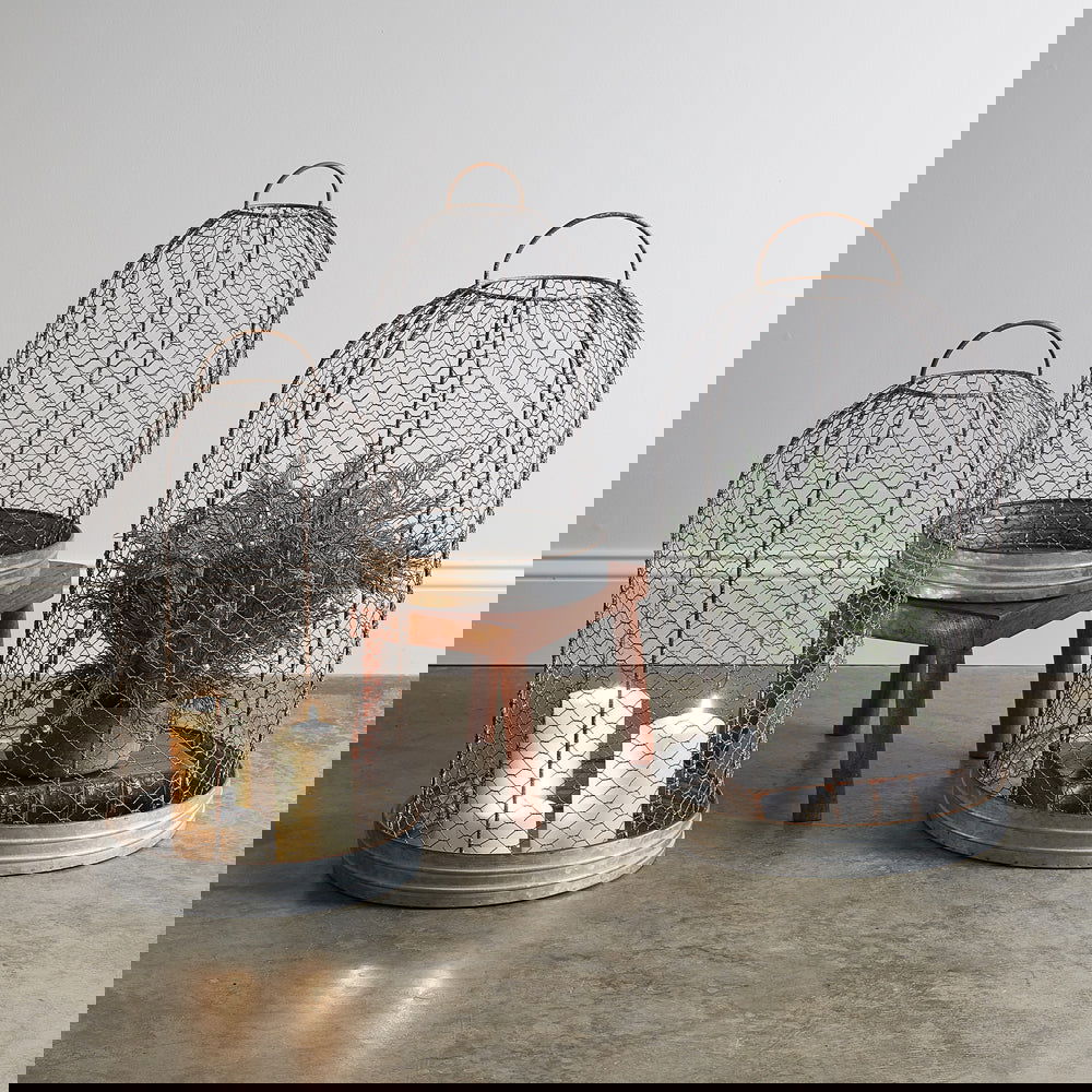 Wire Mesh Cloche with Base - Set of Three - Vessel