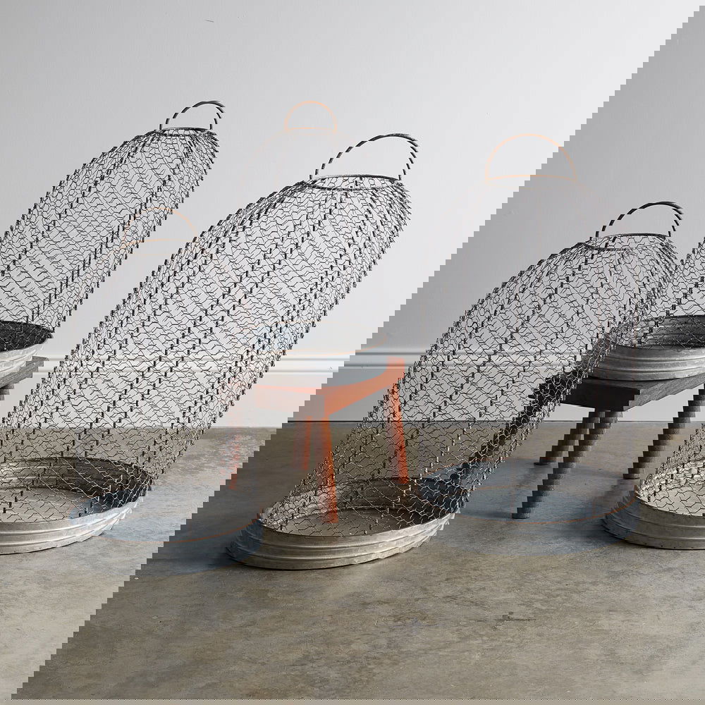 Wire Mesh Cloche with Base - Set of Three - Vessel